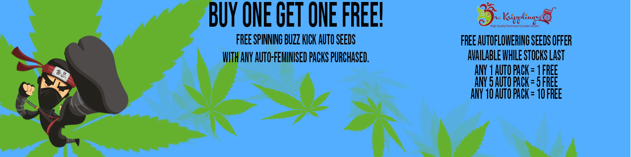 Autoflowering Seeds Promotion